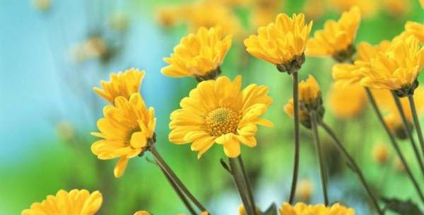 牛仔外套建议多久洗一次,衣服穿几天洗一次最好图7