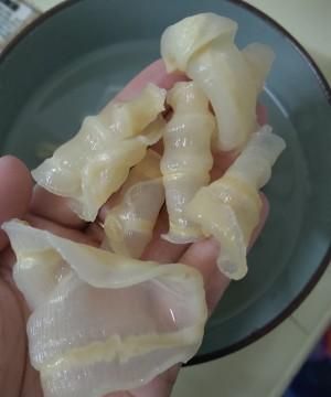 花胶泡多久最好