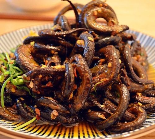 黄鳝吃什么食物