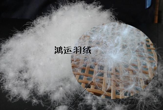 衣服含绒量90%白鸭绒,充绒量107g质量好吗