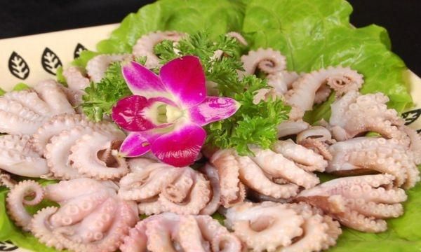 常吃的章鱼足是什么章鱼