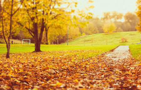 什么是公立秋和母立秋,立秋分公秋和母秋吗图4