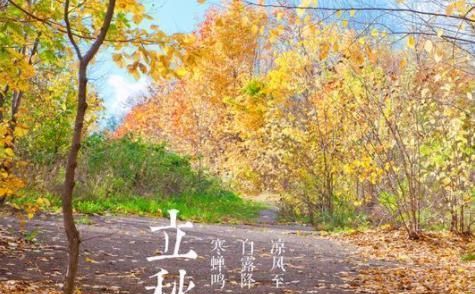 立秋有公秋和母秋之说吗