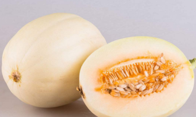 ​甜瓜软了还能吃,甜瓜变软了还能吃吗