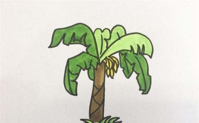 香蕉简笔画，香蕉画法简笔画？图7