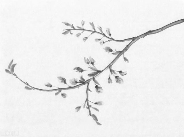 难以忍耐的歇后语(让人忍俊不禁的歇后语儿)(1)