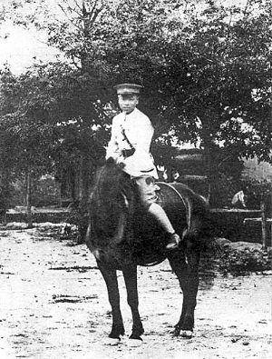 揭秘中共王牌间谍袁殊 五沉间谍身份世界常睹