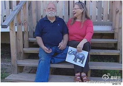 世界上最怪僻的10个盗窃案