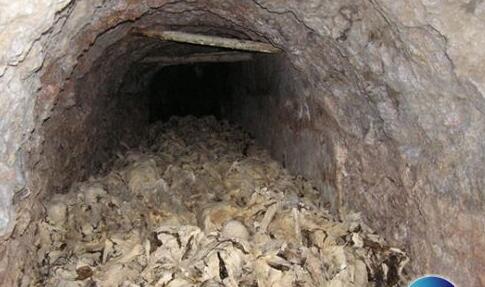 世界上最惨苦的极刑排行榜,15种刑法耸人听闻