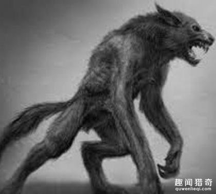 这个世界上真有狼人吗?清点5个闻名狼人事变