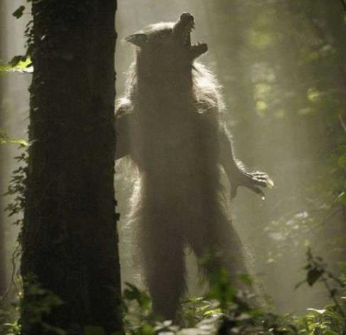 狼人实在存留吗？世界上有狼人吗