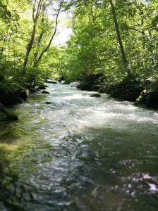 ​诗中带溪的诗句有哪些（带溪字的唯美诗词）