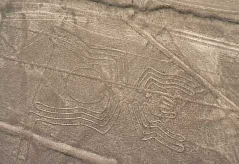 秘鲁纳斯卡荒本图案之谜