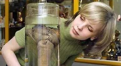 令人膛目结舌的世界32例人体之最 最奇葩的人体之最