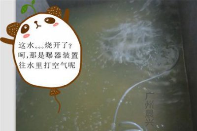 ​井水过滤器自制方法