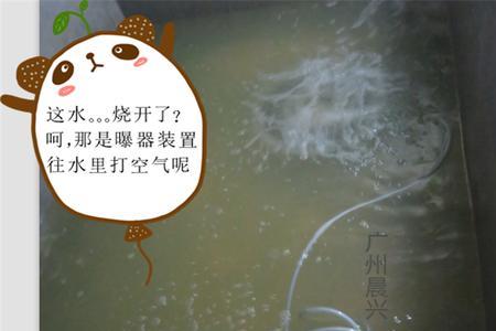 井水过滤器自制方法