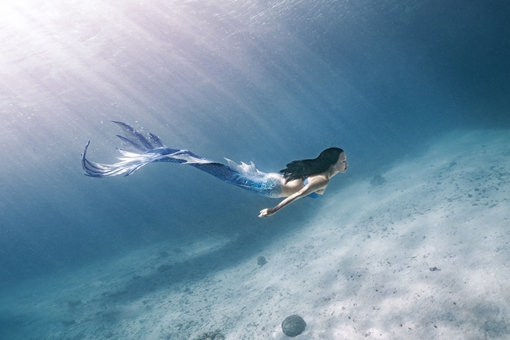 民间传说中的“鲛人”是什么?它们来自于哪里? 民间传说中的“鲛人”是什么?它们来自于哪里?