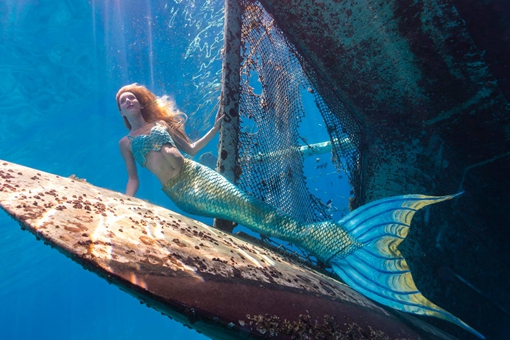 民间传说中的“鲛人”是什么?它们来自于哪里? 民间传说中的“鲛人”是什么?它们来自于哪里?