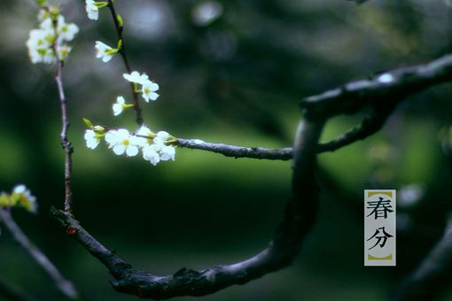 春分为什么要竖蛋? 春分为什么要竖蛋?