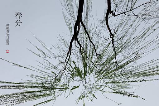 春分为什么要竖蛋? 春分为什么要竖蛋?