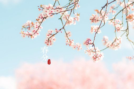 春分为什么要竖蛋? 春分为什么要竖蛋?