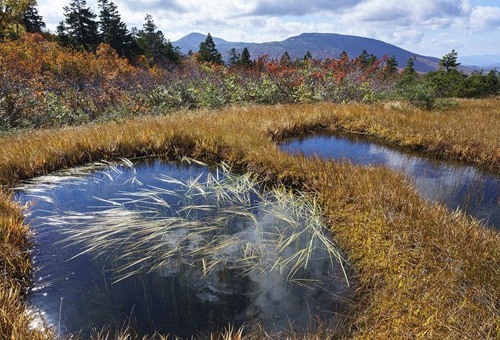 八甲人是什么人 揭秘为什么叫八甲人 八甲人是什么人 揭秘为什么叫八甲人