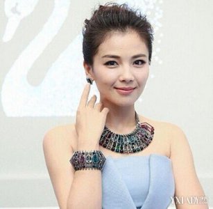 ​刘涛个人简历 刘涛简介