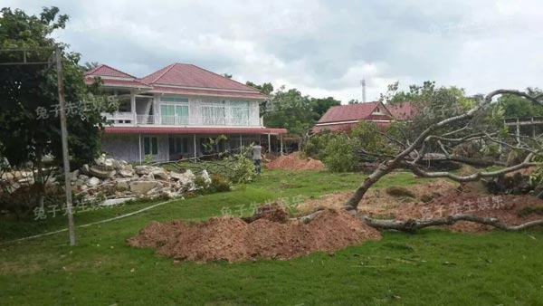 泰国西米拉王妃为什么被废 泰国王妃幽禁的寺庙被剃秃顶扫院子