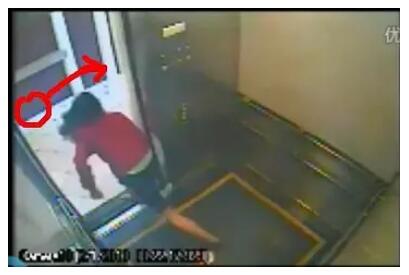 可人的电梯门为什么不闭 蓝可人终归瞅睹了什么还干出诡异举措