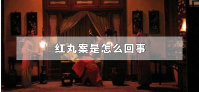 ​红丸案是怎么回事