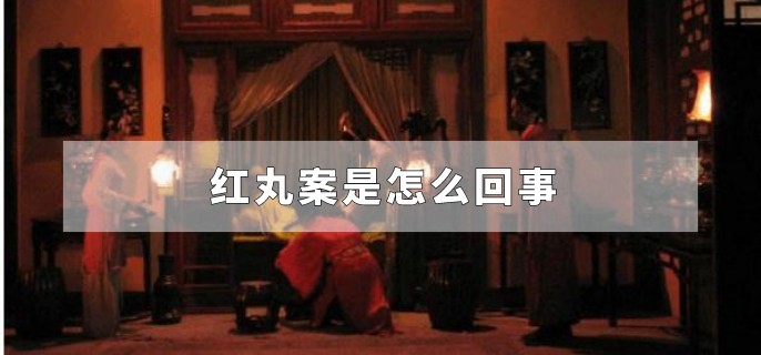 红丸案是怎么回事