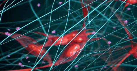 比龙虾还要贵7倍的海鲜，每年5人因它而死，藤壶配不配？