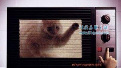 ​微波炉虐猫是怎么回事 涉事男子结果如何