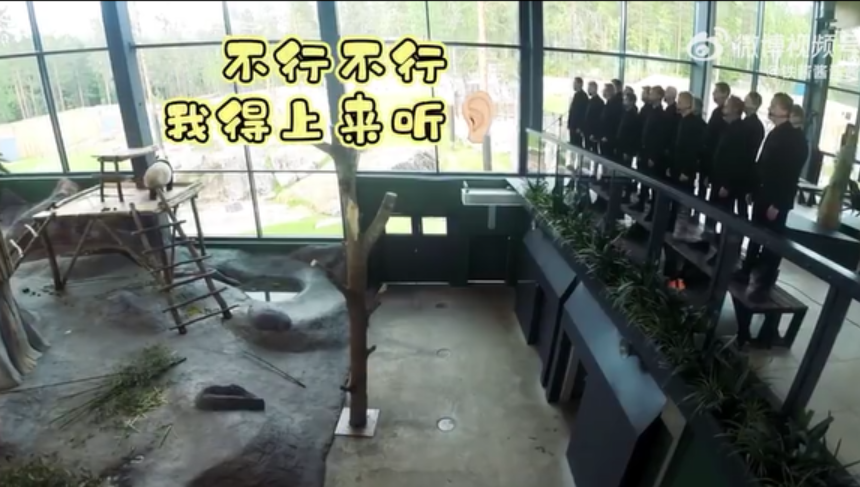 何老师终于亲口向全网坦白了，他没有QQ号