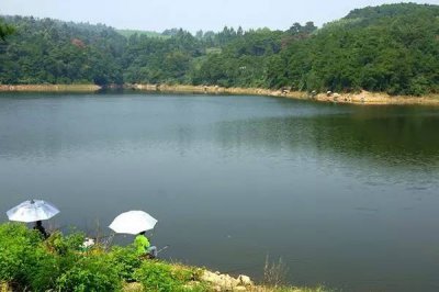 ​水库钓鲫鱼实战经验总结，喜欢库钓的进