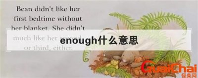 ​enough是什么意思中文？enough是什么意思