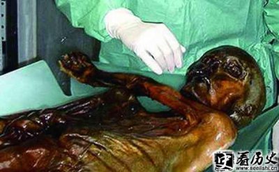 ​奥兹冰人的诅咒介绍