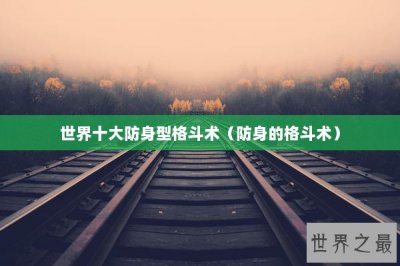 ​世界十大防身型格斗术（防身的格斗术）