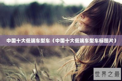 ​中国十大低端车型车（中国十大低端车型车标图片）