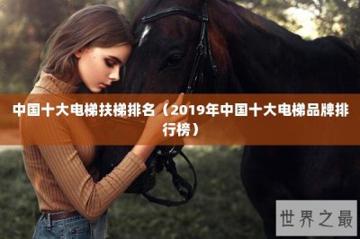 ​中国十大电梯扶梯排名（2019年中国十大电梯品牌排行榜）