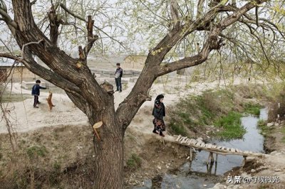 ​马格南图片社的今生前世