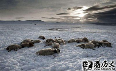 ​解析外蒙古是怎么独立的