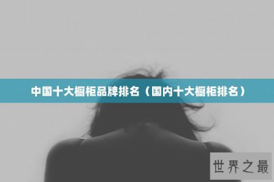 ​中国十大橱柜品牌排名（国内十大橱柜排名）