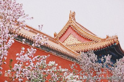 ​后妃、女官、内侍、宫省共同构成了中国古代后宫制度