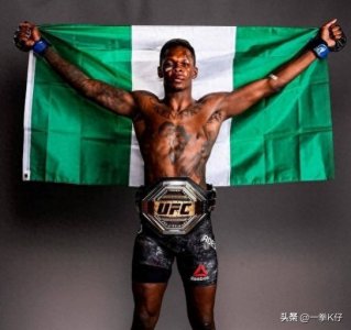 ​功夫王者，黑龙-阿迪萨亚，UFC中量级冠军的不败神话