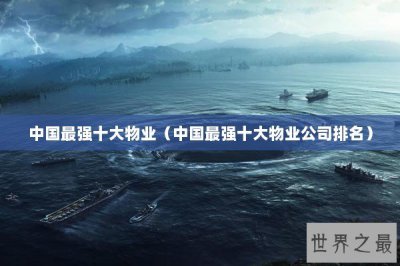 ​中国最强十大物业（中国最强十大物业公司排名）