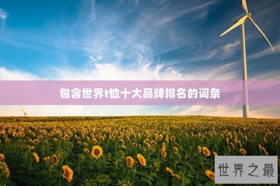​包含世界t恤十大品牌排名的词条
