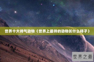 ​世界十大帅气动物（世界上最帅的动物长什么样子）