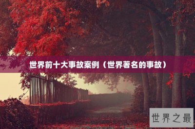 ​世界前十大事故案例（世界著名的事故）