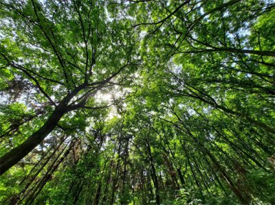 ​灵活就业人员注意了！一次说清什么是4555补贴